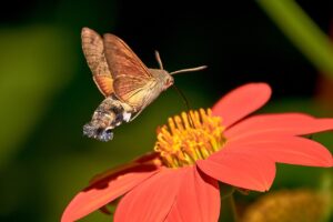 脂肪吸引後の経過は顔にどのような影響を与えるのか？