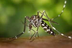顔の脂肪吸引には血液検査が必要なのはなぜ？