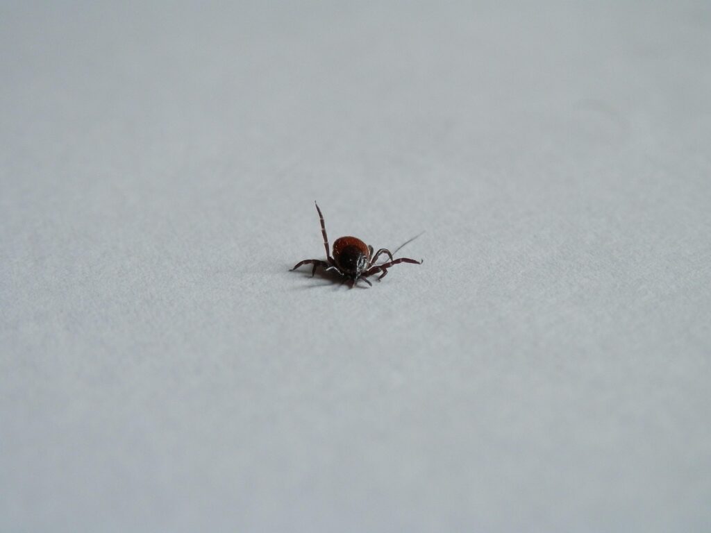 顔の脂肪吸引後のむくみをリンパで流す方法は？