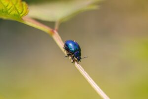 顔脂肪吸引の効果が出にくい骨格の特徴とは？